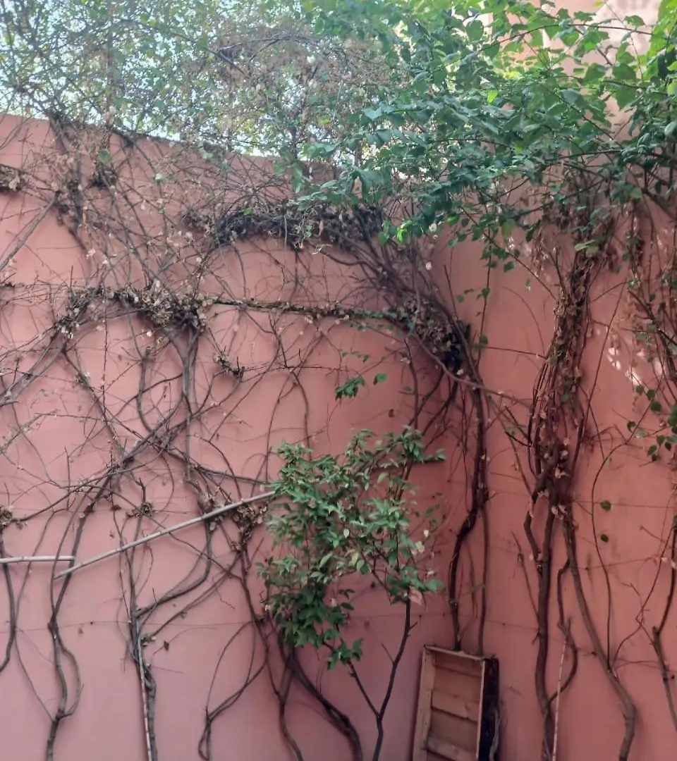 Villa Mima Marrakesh Morocco